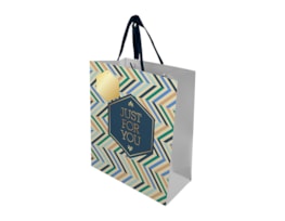 Wholesale Father's Day Large Gift Bag