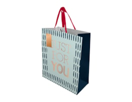 Wholesale Father's Day Medium Gift Bag