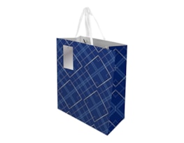 Wholesale Father's Day Medium Gift Bag