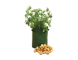 Potato Planter