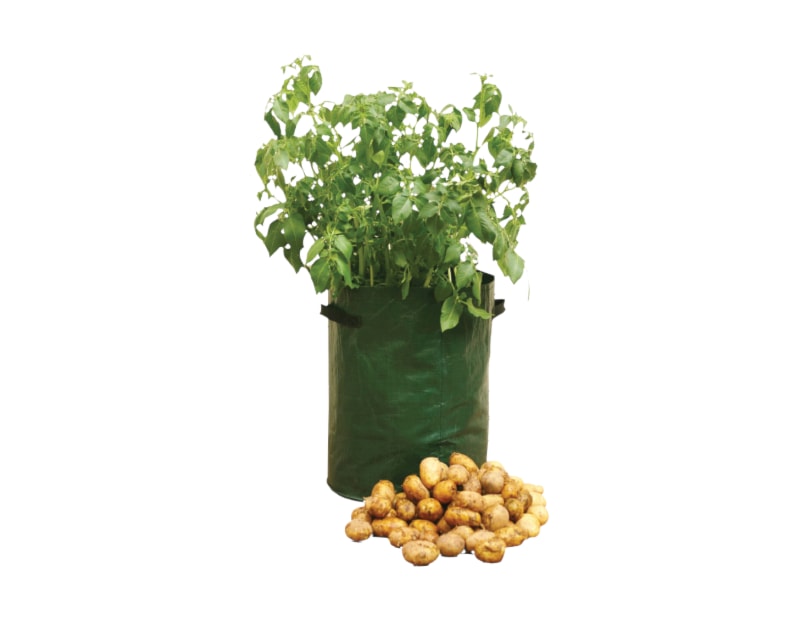 Potato Planter