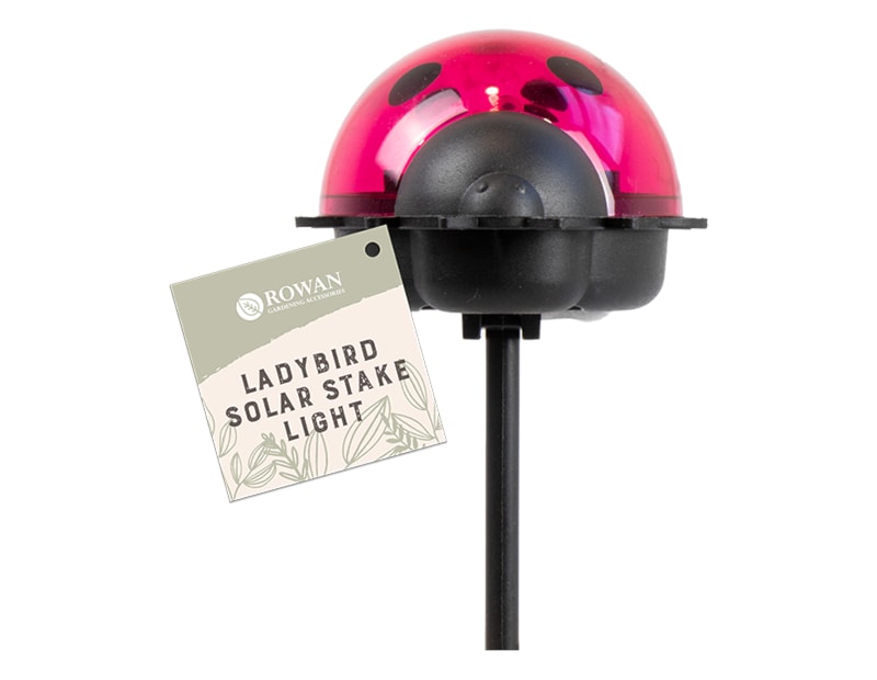 Ladybird Solar Stake Light in PDQ