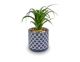 Wholesale Artificial Plant in Geo Pot