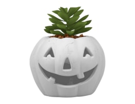 Wholesale Halloween LED pumpkin with Succulent