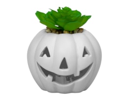 Wholesale Halloween LED pumpkin with Succulent