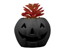 Wholesale Halloween LED pumpkin with Succulent