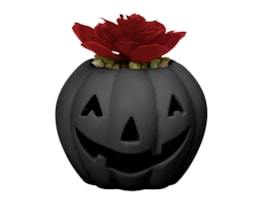 Wholesale Halloween LED pumpkin with Succulent