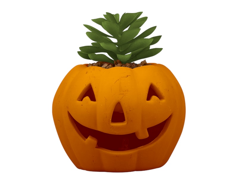 Wholesale Halloween LED pumpkin with Succulent