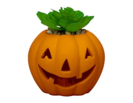 Wholesale Halloween LED pumpkin with Succulent