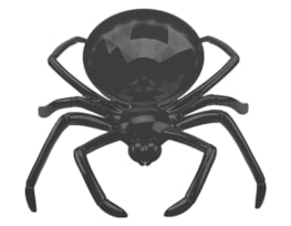 Wholesale Halloween Scary Spider Bowl