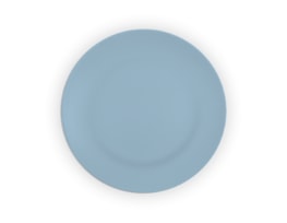 Wholesale Pastel Stoneware Plate 9.5"