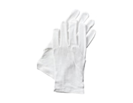 White Cotton Gloves