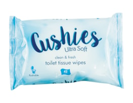 Classic Toilet Wipes - 42 Pack