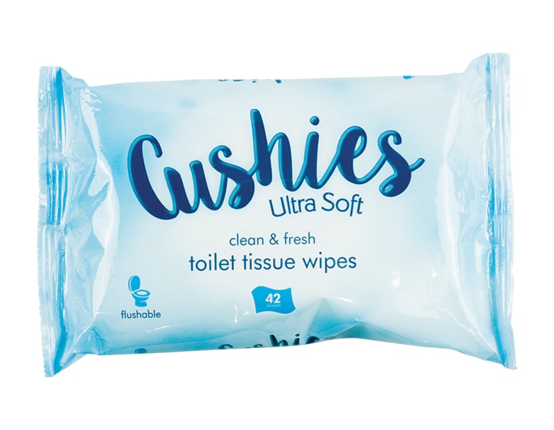 Classic Toilet Wipes - 42 Pack