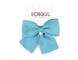 Wholesale Kids School Colours Hair Accessories FSDU