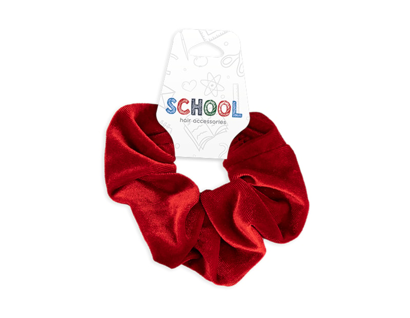 Wholesale Kids School Colours Hair Accessories FSDU