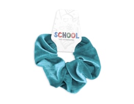 Wholesale Kids School Colours Hair Accessories FSDU