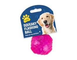 Flashing and Squeaky Play Ball