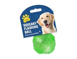 Flashing and Squeaky Play Ball