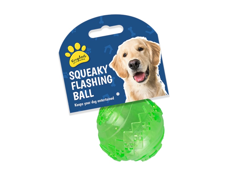 Flashing and Squeaky Play Ball