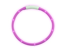 Wholesale Light Up Dog Collar