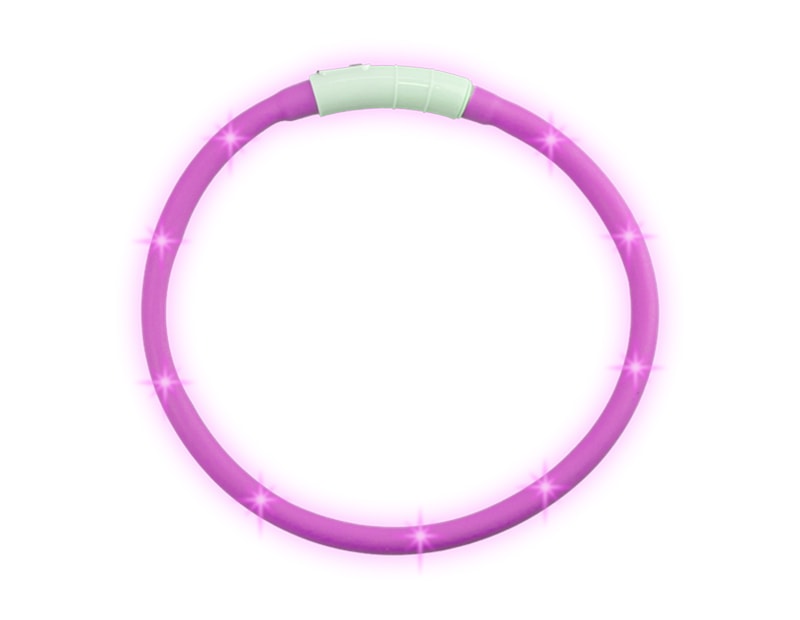 Wholesale Light Up Dog Collar