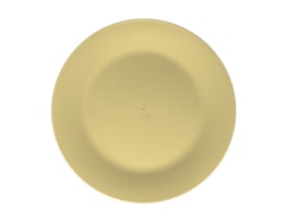 Bright Plastic Dinner Plate Dia 25cm 4pk