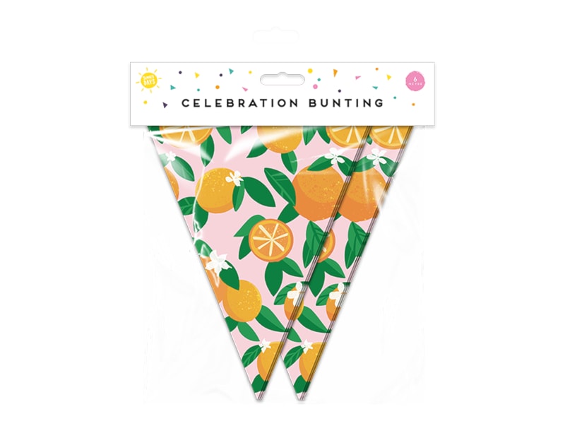 Wholesale Summer Party Fruit Bunting 15 Flags