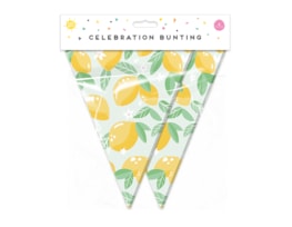 Wholesale Summer Party Fruit Bunting 15 Flags