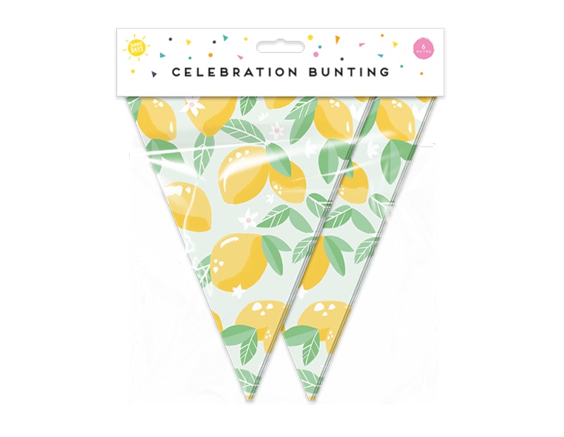 Wholesale Summer Party Fruit Bunting 15 Flags