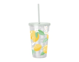 Wholesale Summer Party Fruit Cup & Swirly Straw