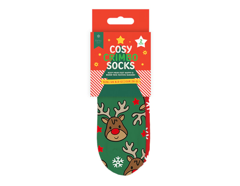 Wholesale Boys Printed Novelty Cosy Socks with Grippers 2pk