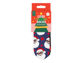 Wholesale Boys Printed Novelty Cosy Socks with Grippers 2pk