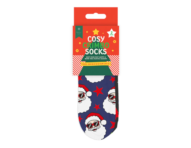 Wholesale Boys Printed Novelty Cosy Socks with Grippers 2pk