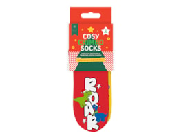 Wholesale Boys Printed Novelty Cosy Socks with Grippers 2pk