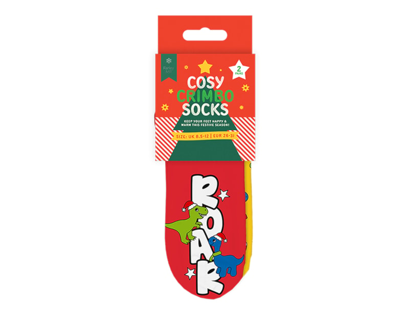 Wholesale Boys Printed Novelty Cosy Socks with Grippers 2pk