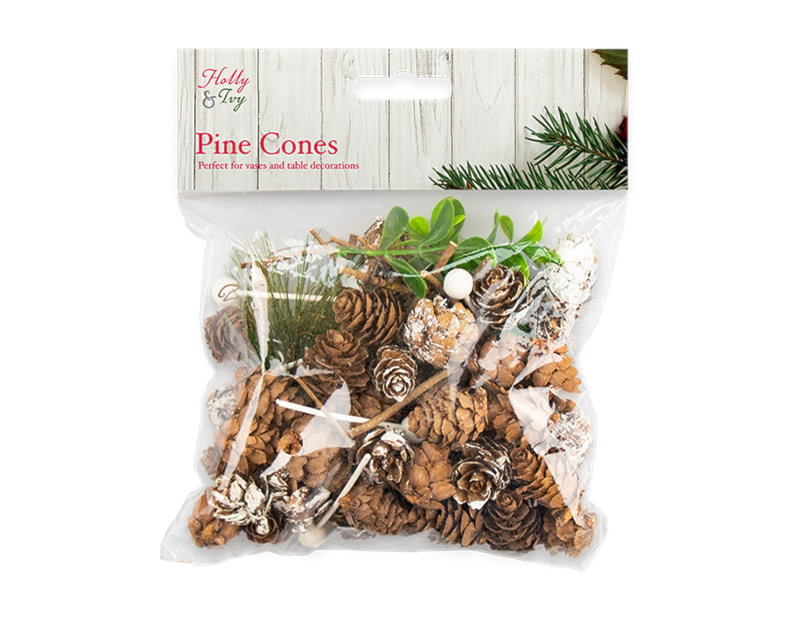 Wholesale Decorative Pine Cone Vase Fillers