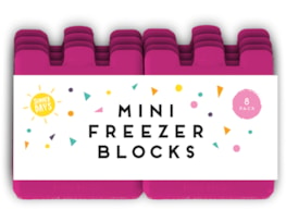 Summer Mini Freezer Blocks 8pk PDQ