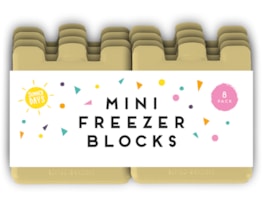 Summer Mini Freezer Blocks 8pk PDQ