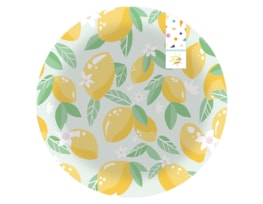 Wholesale Summer Party Fruit Picnic Plate 28cm