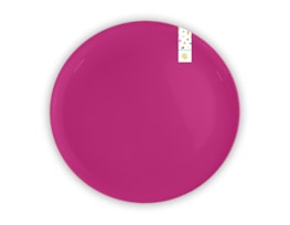 Wholesale Summer Plastic Plates