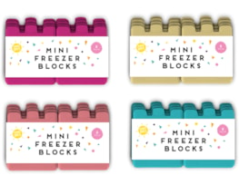 Summer Mini Freezer Blocks 8pk PDQ