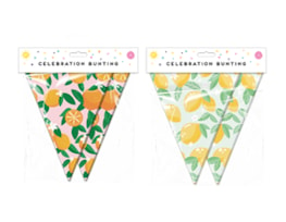 Wholesale Summer Party Fruit Bunting 15 Flags