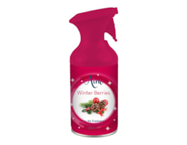 Wholesale Dry Air Freshener Winter Berries