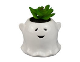 Wholesale Halloween Ghost with succulent