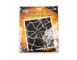 Halloween Spider Web & Spider