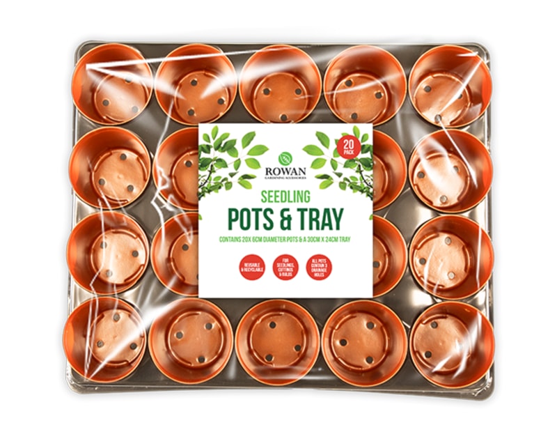 Wholesale Mini Pots in Tray 20pk