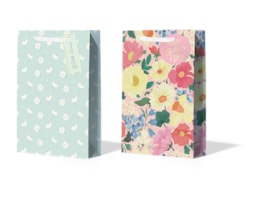 Wholesale Mother's Day Large Gift bag