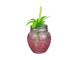 Wholesale Strawberry mason Jar with straw | Gem imports Ltd.