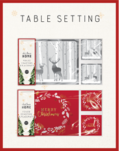 Wholesale Christmas Home - Table Setting
